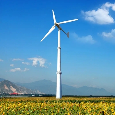 3단계 출력 10Kw 풍력 발전기